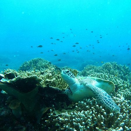 4 Sisters Divers Bunaken Luaran gambar