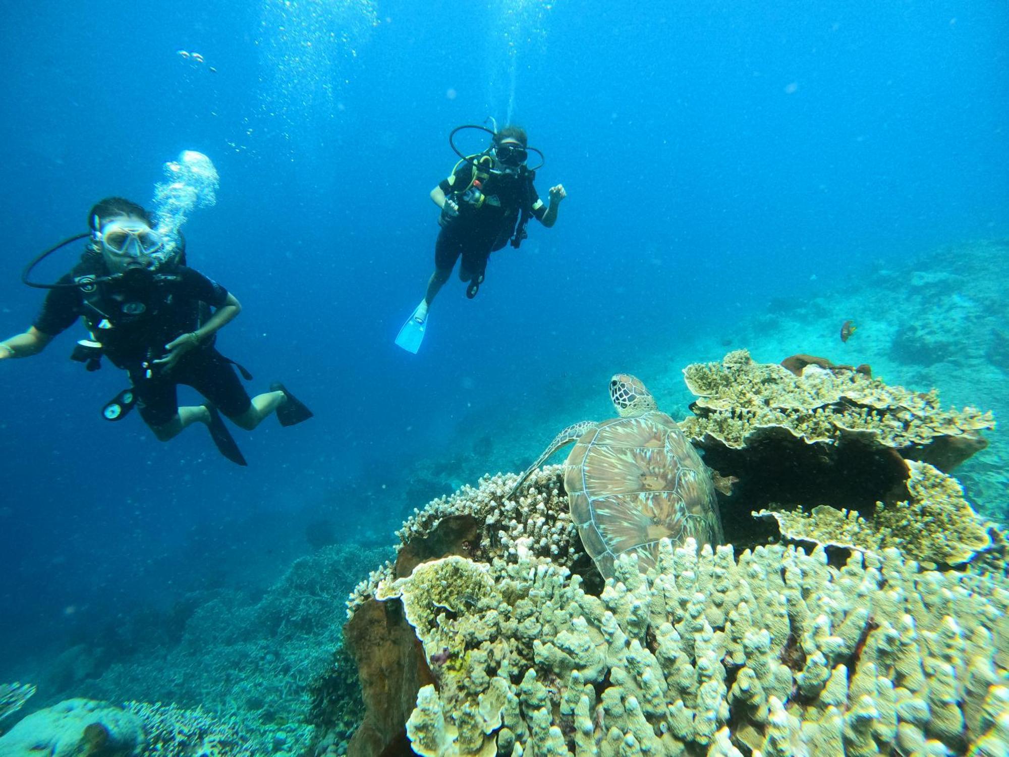 4 Sisters Divers Bunaken Luaran gambar