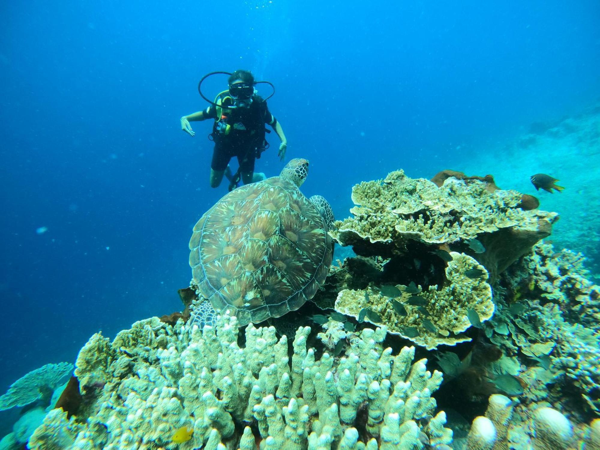 4 Sisters Divers Bunaken Luaran gambar