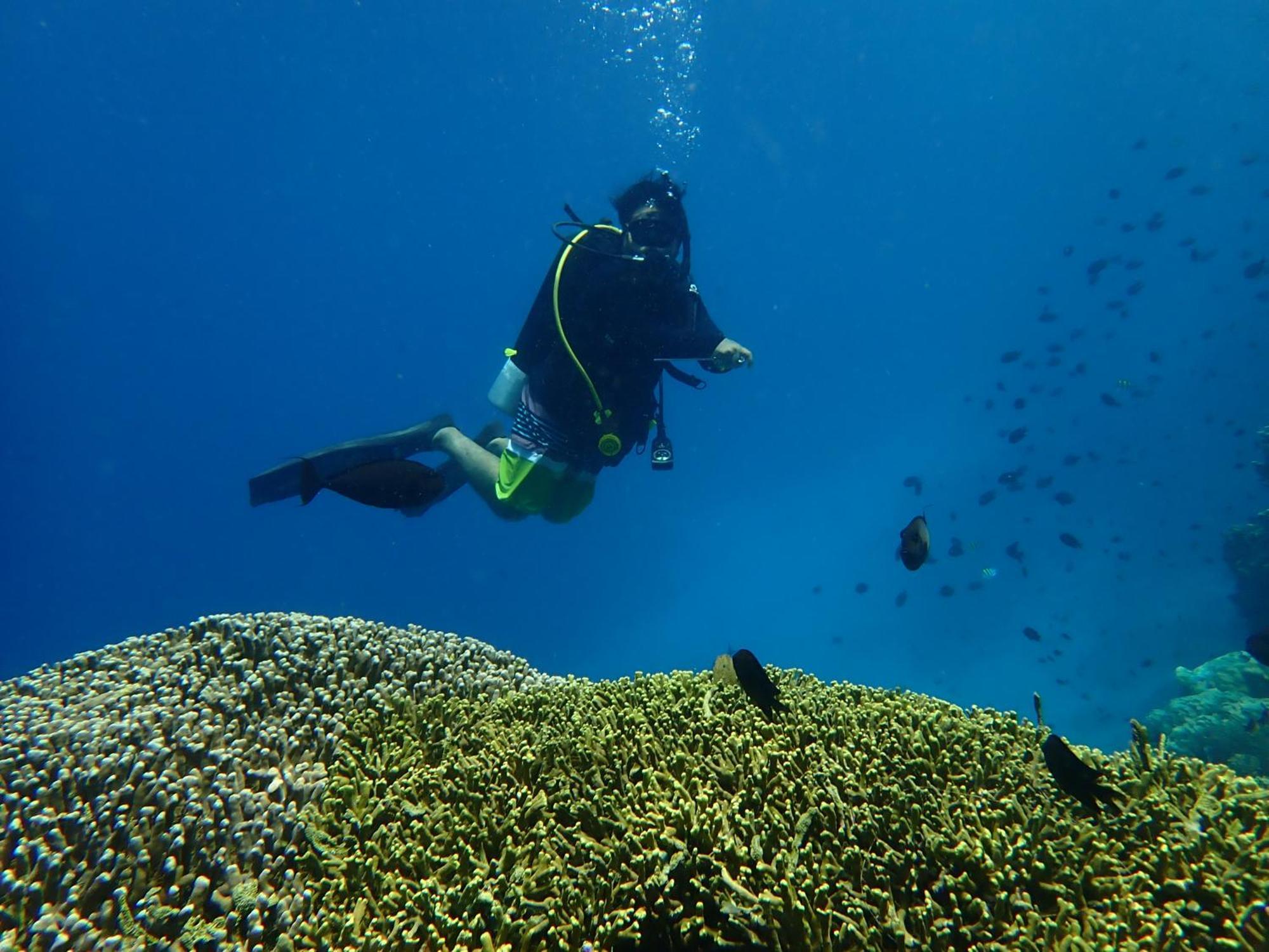 4 Sisters Divers Bunaken Luaran gambar